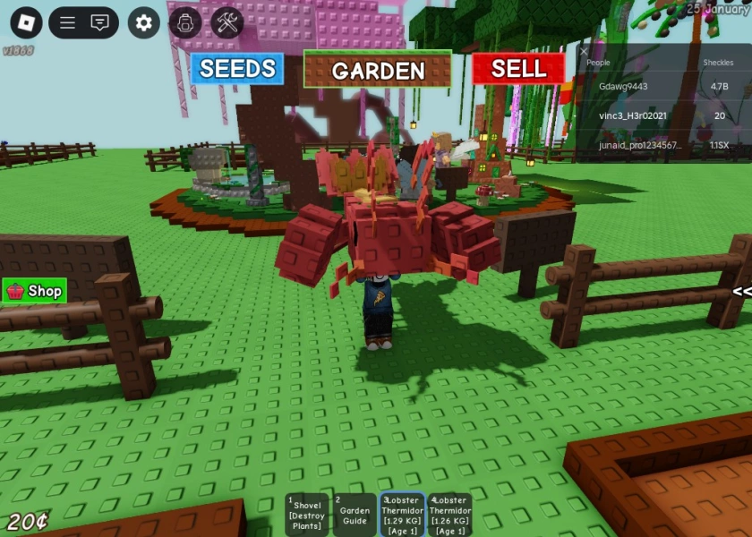 roblox6